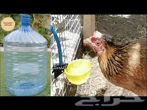 سقايات 3