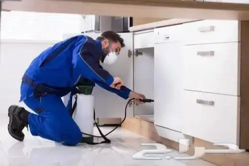 شركة مكافحة حشرات بجازان 1