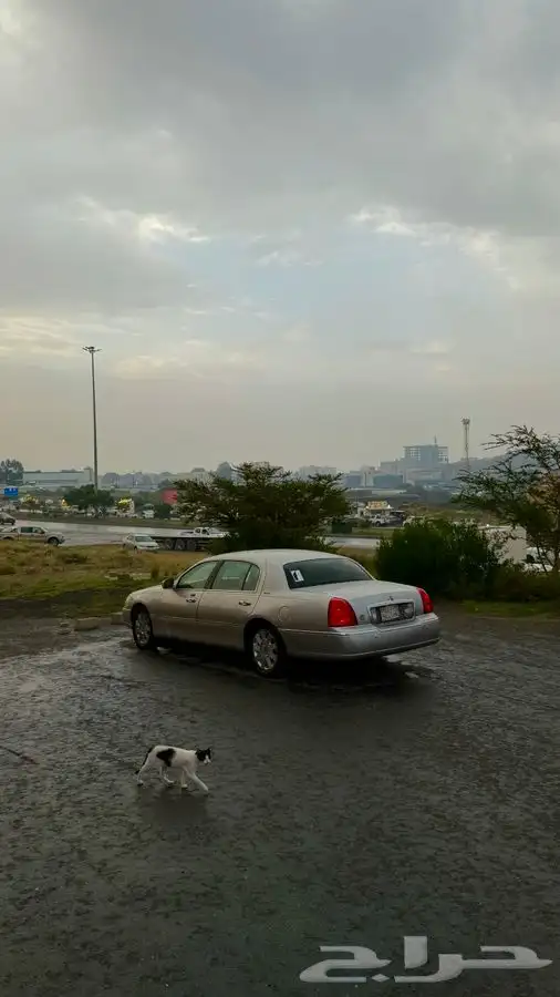 لينكون تاون كار 2004 سعودي 10