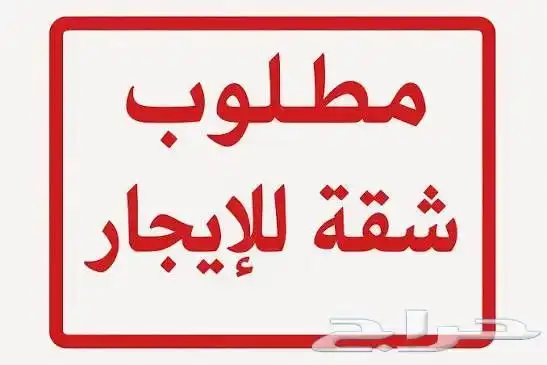 مطلوب شقه للايجار 0