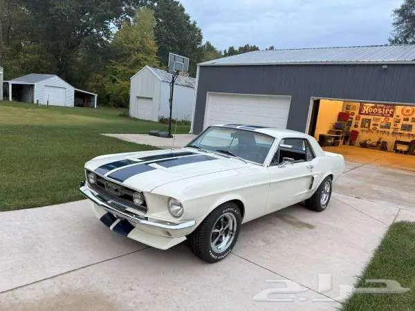 للبيع موستنق موديل 1967 Ford Mustang Coupe 2