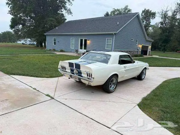 للبيع موستنق موديل 1967 Ford Mustang Coupe 4