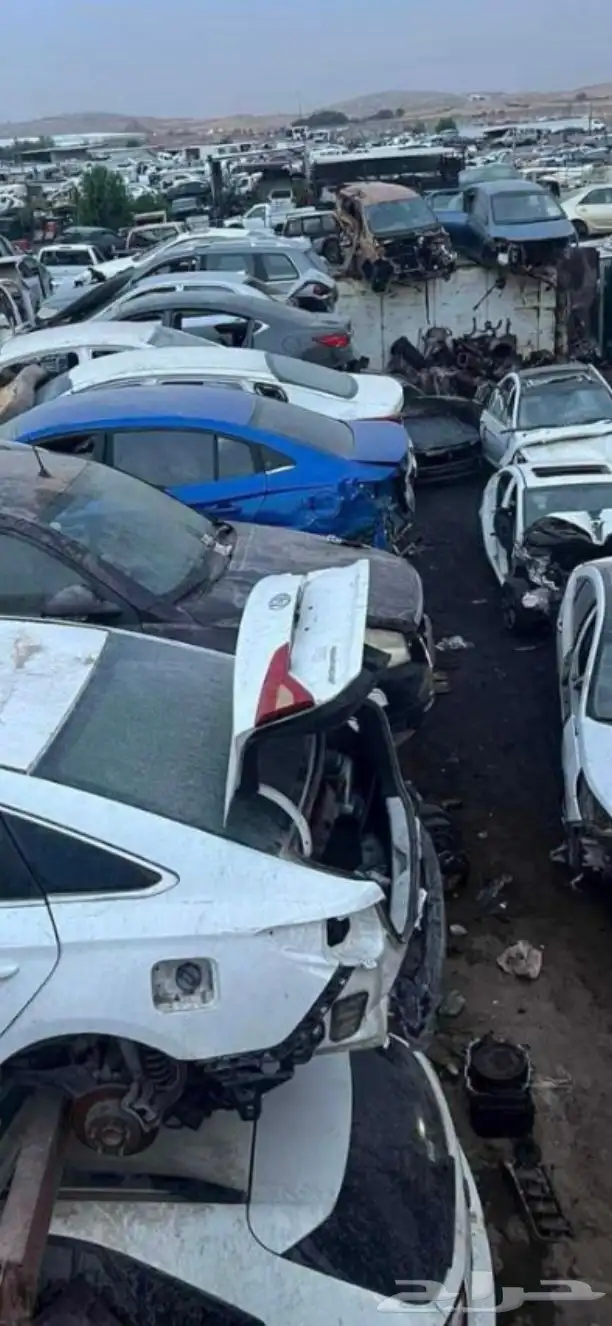 تشاليح الحاير بالرياض موفر ومندوب 2