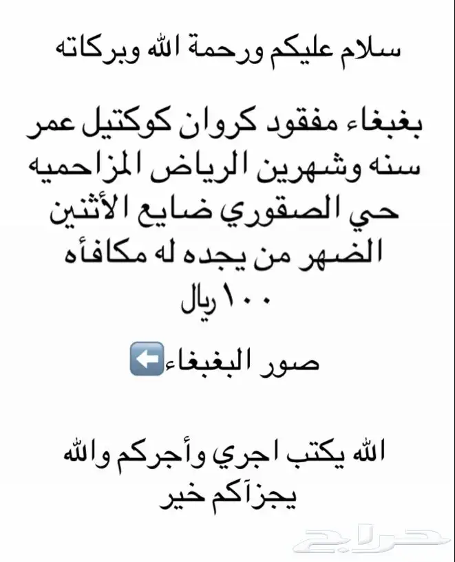 بغبغاء مفقود 0
