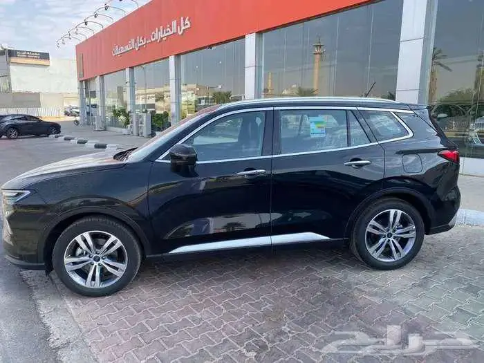 فورد تيرتوري تيتانيوم - 2025 كاش او اقساط 2