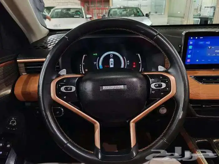 هافال جوليان فل كامل 2023 18
