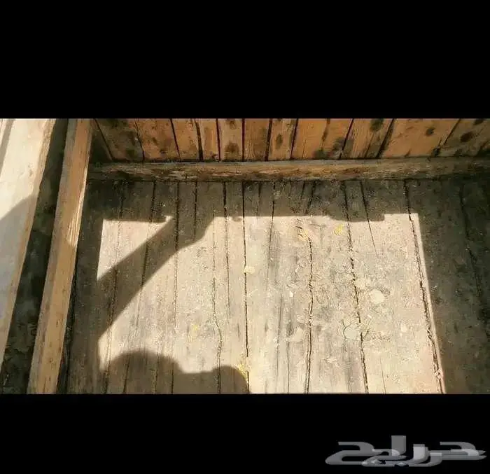 صندوق كبير قديم جدا.. له أكثر من 50 سنة 1