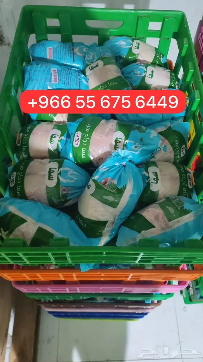 دجاج مبرد للبيع لحدائق الحيونات 0