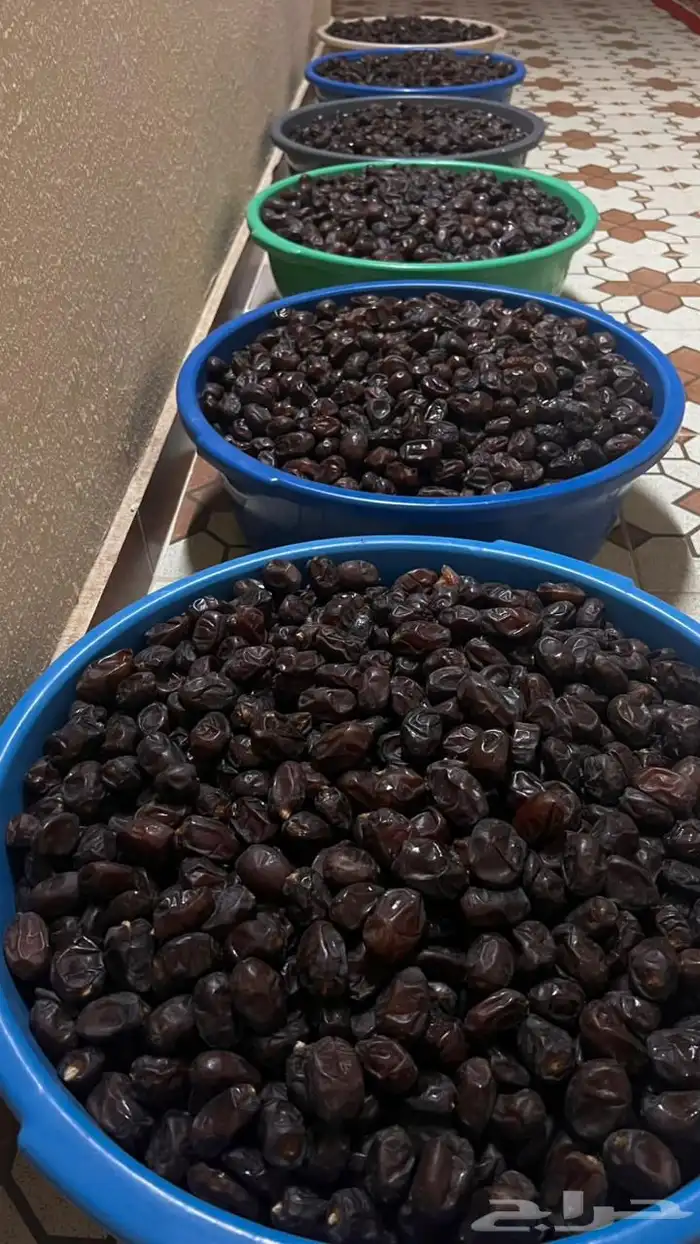 تمر حلوة رميثي على ماء ملح 3