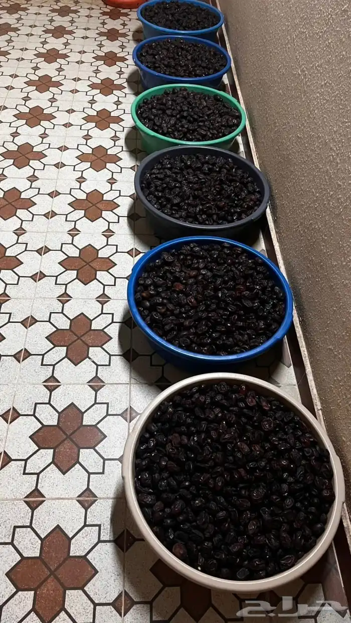 تمر حلوة رميثي على ماء ملح 2