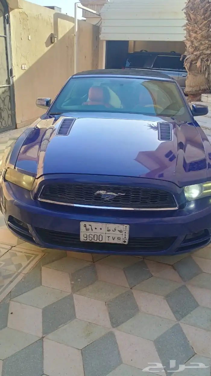 موستنق بريميوم كشف ازرق توكيلات 3