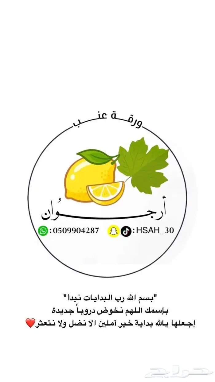 الذ ورق عنب تذوقونه 1