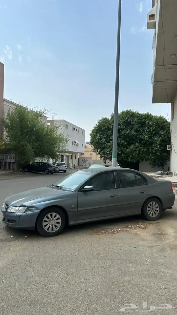 لومينا 2006 4
