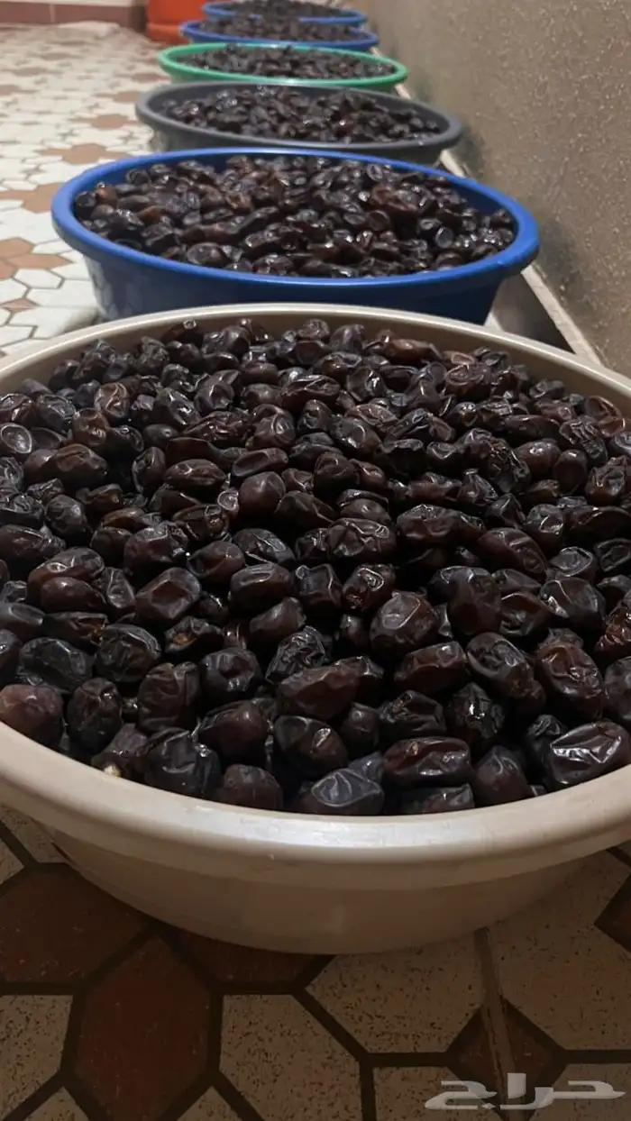 تمر حلوة رميثي على ماء ملح 1