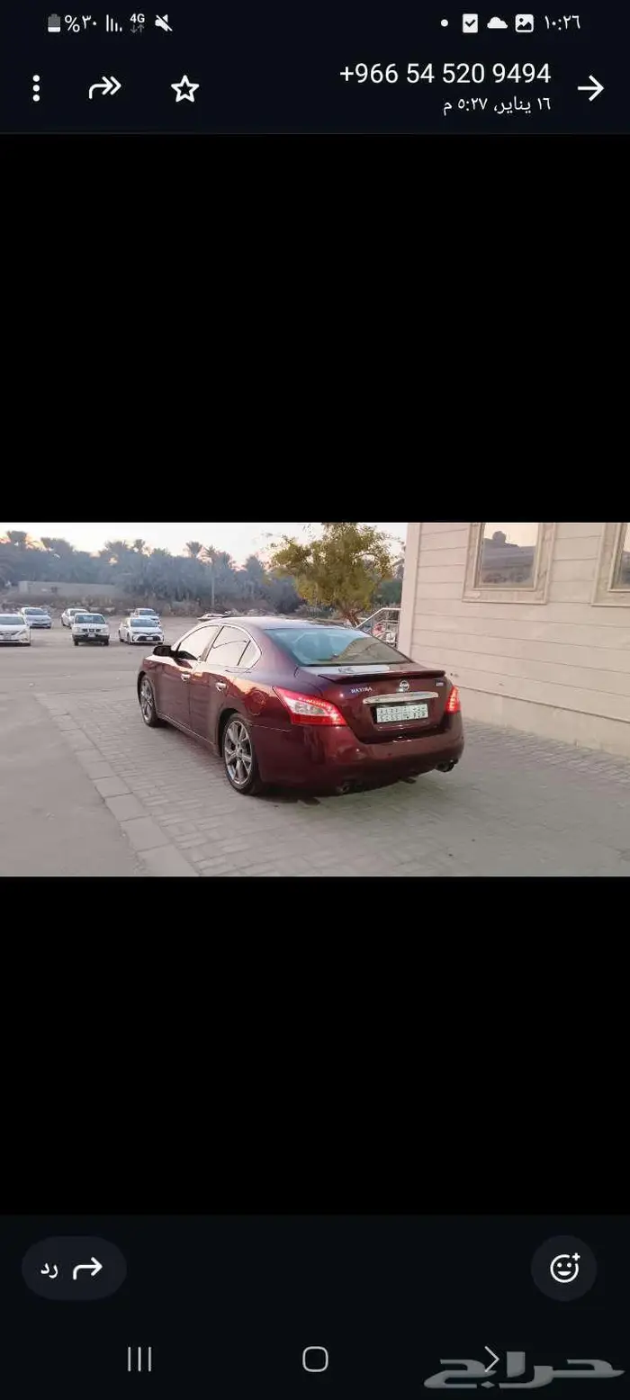 مكسيما نيسان للبيع 0