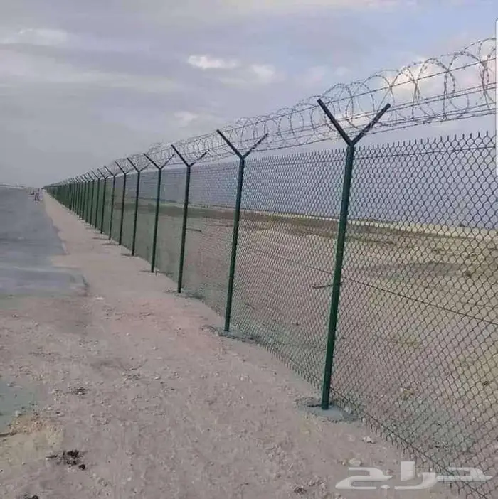 فسائل نخل صقعي سكري مجدول 1
