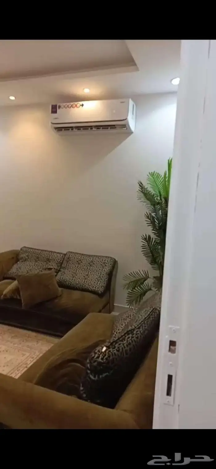 استوديو مؤثث للإيجار ب2500 شهري   حي الرمال 0
