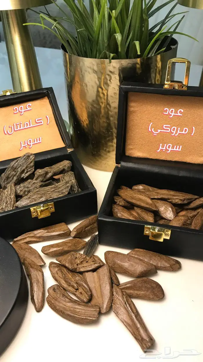 عود طبيعي ومحسن بجودة عالية وثبات ممتاز 6