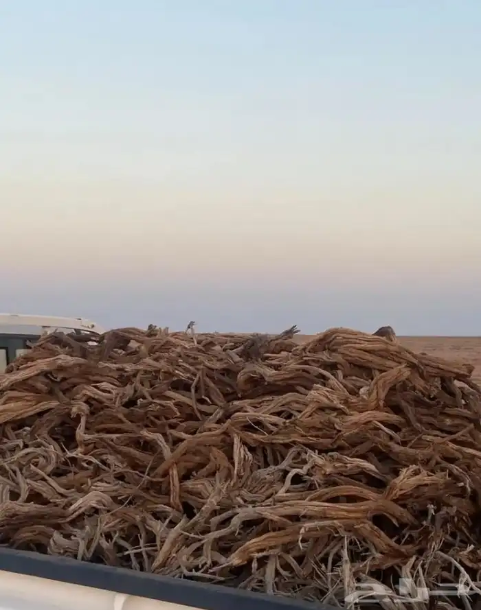 هايلوكس 2025 3