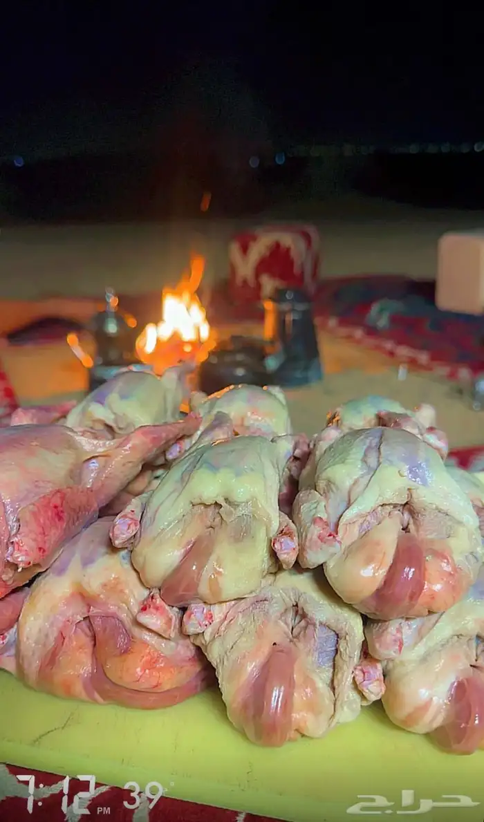 يتوفر بافضل جوده حمام - بط - ارنب - سمان - ديك رومي 0