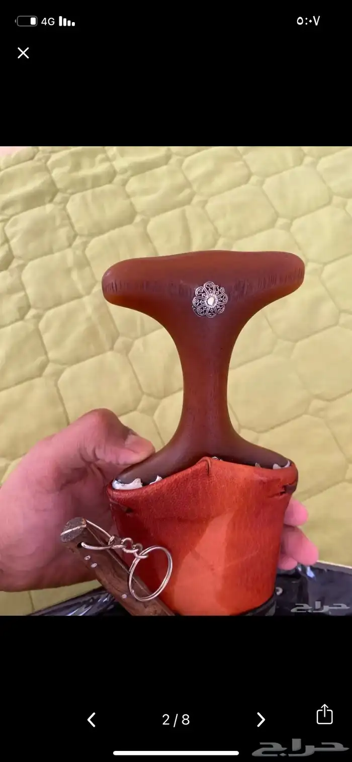 جنبية 6