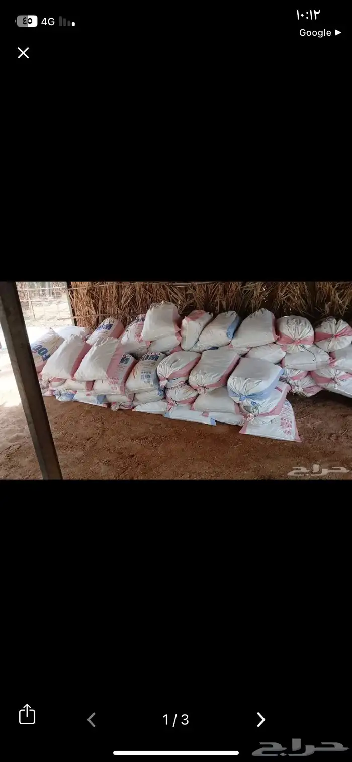 تمر حق حلال موقع ينبع 0