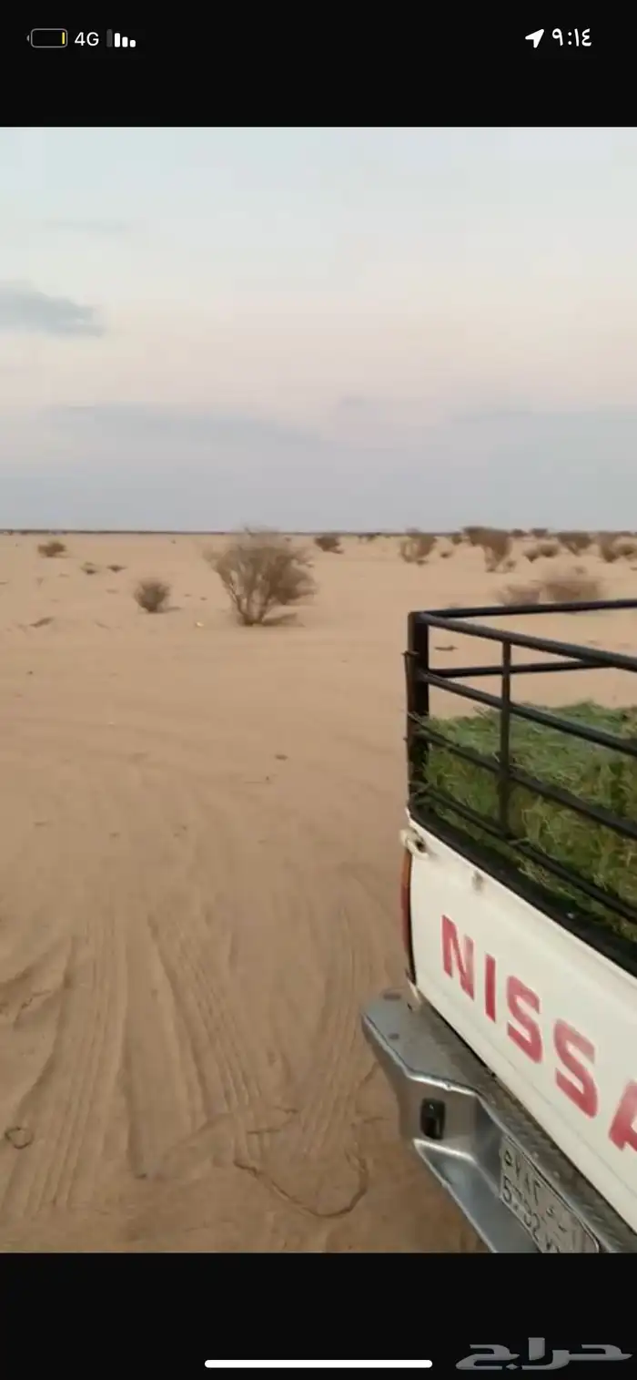 ذبايح ثلاجه ومناسبات الخوية حي مثمله حري رقم واحد 3