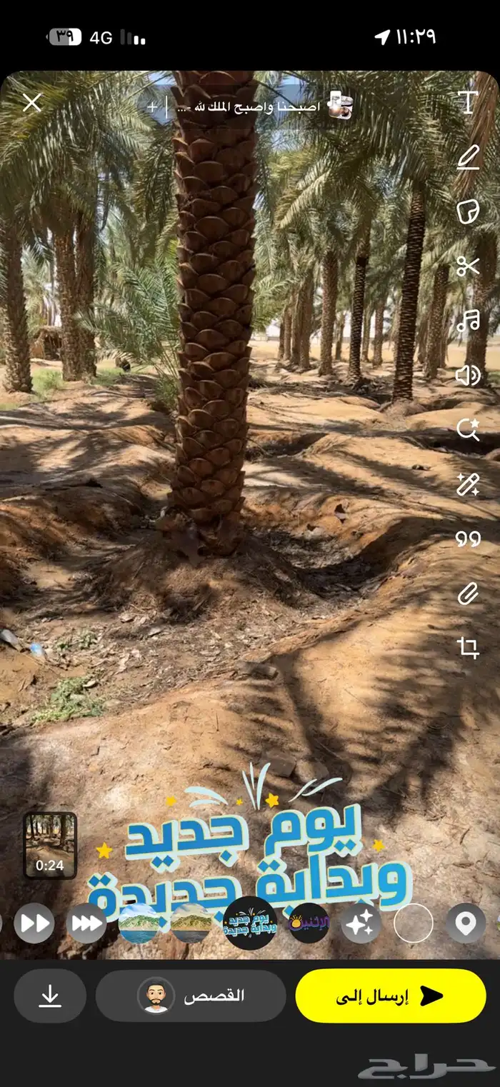 نخل للبيع الموقع وادي الدواسر 0