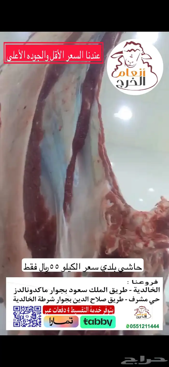 حاشي بلدي 55 0