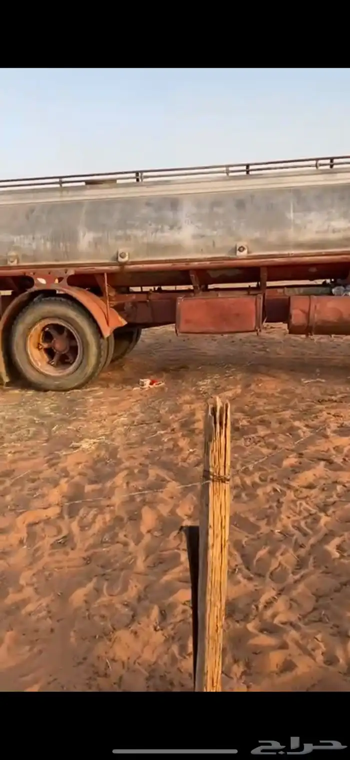 ذود كفوو بمعدتها 5