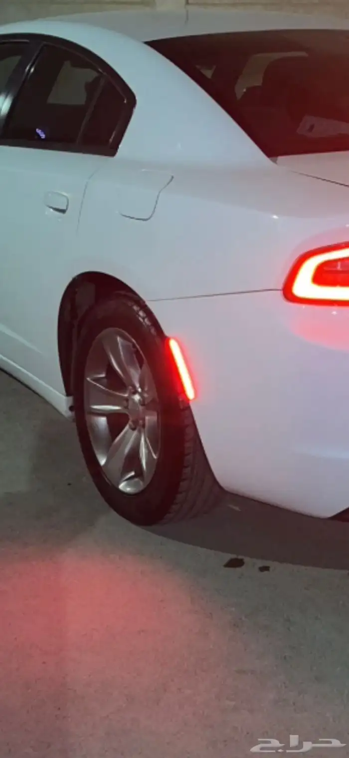 جنوط وكاله للبيع 0