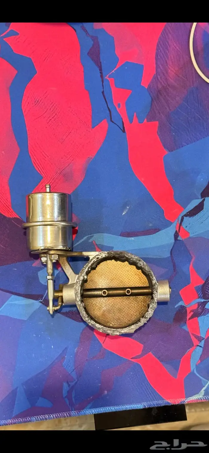 بوابة الدبه الإلكترونية 0