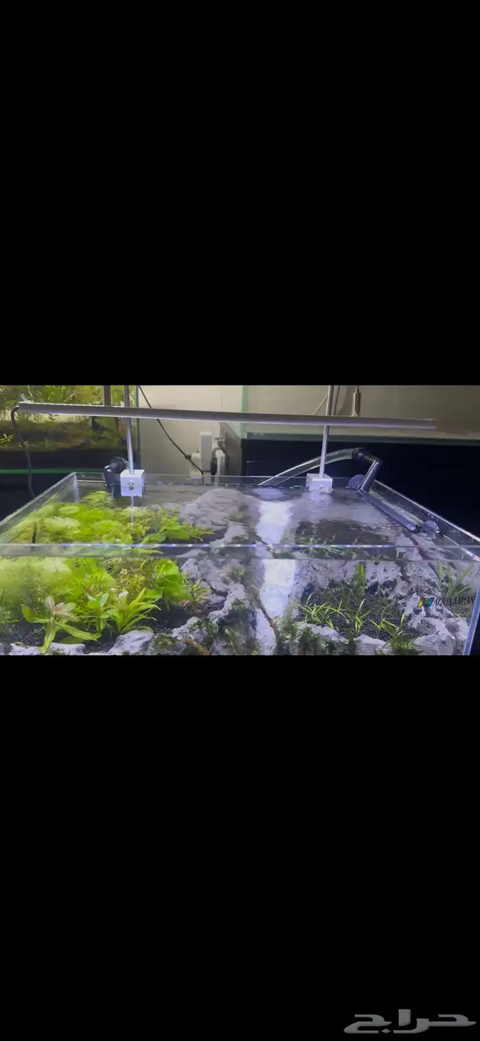حوض أكواريوم بنظام الكهف   تصميم مميز وفريد 5