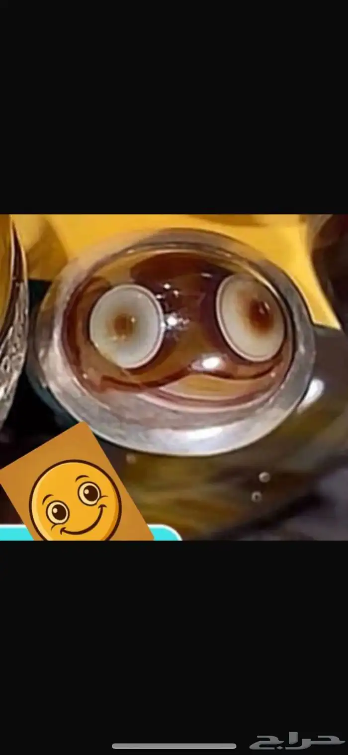 سليمانيات نوادر 1