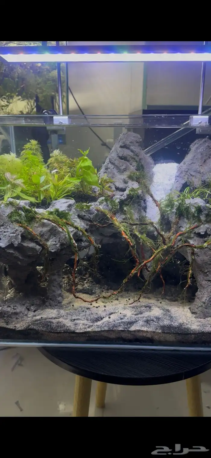 حوض أكواريوم بنظام الكهف   تصميم مميز وفريد 9