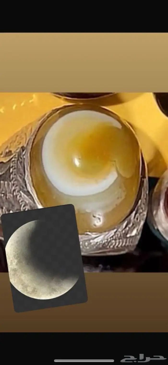 سليمانيات نوادر 0