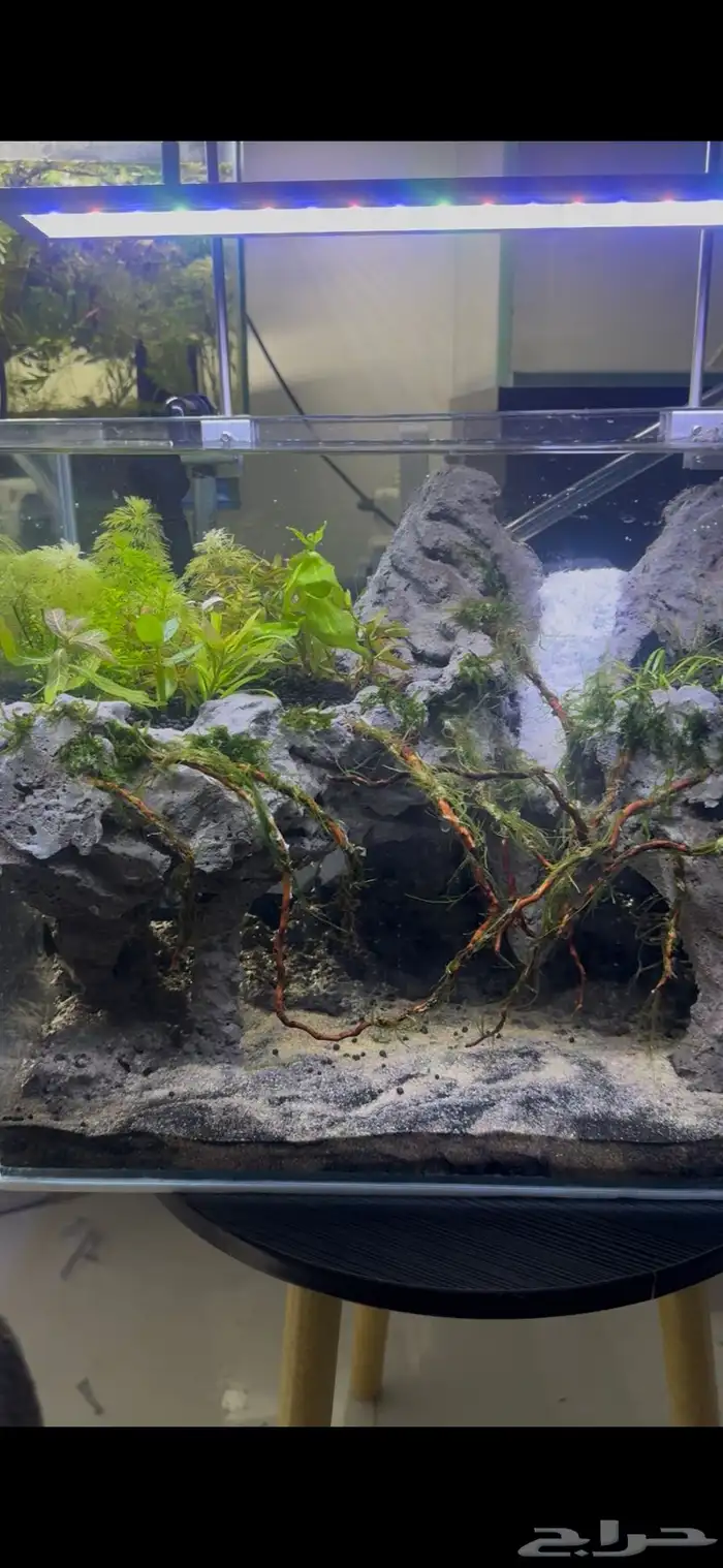 حوض أكواريوم بنظام الكهف   تصميم مميز وفريد 10