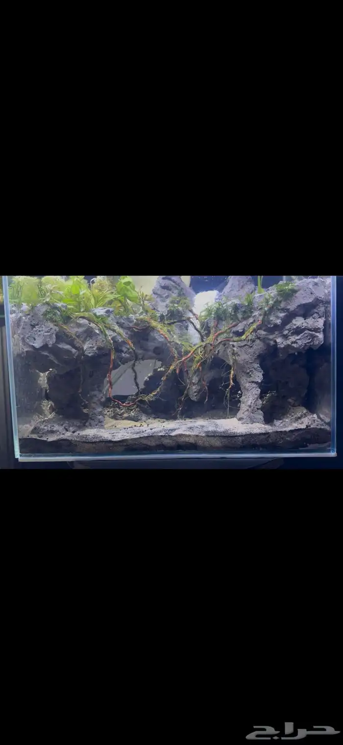 حوض أكواريوم بنظام الكهف   تصميم مميز وفريد 4