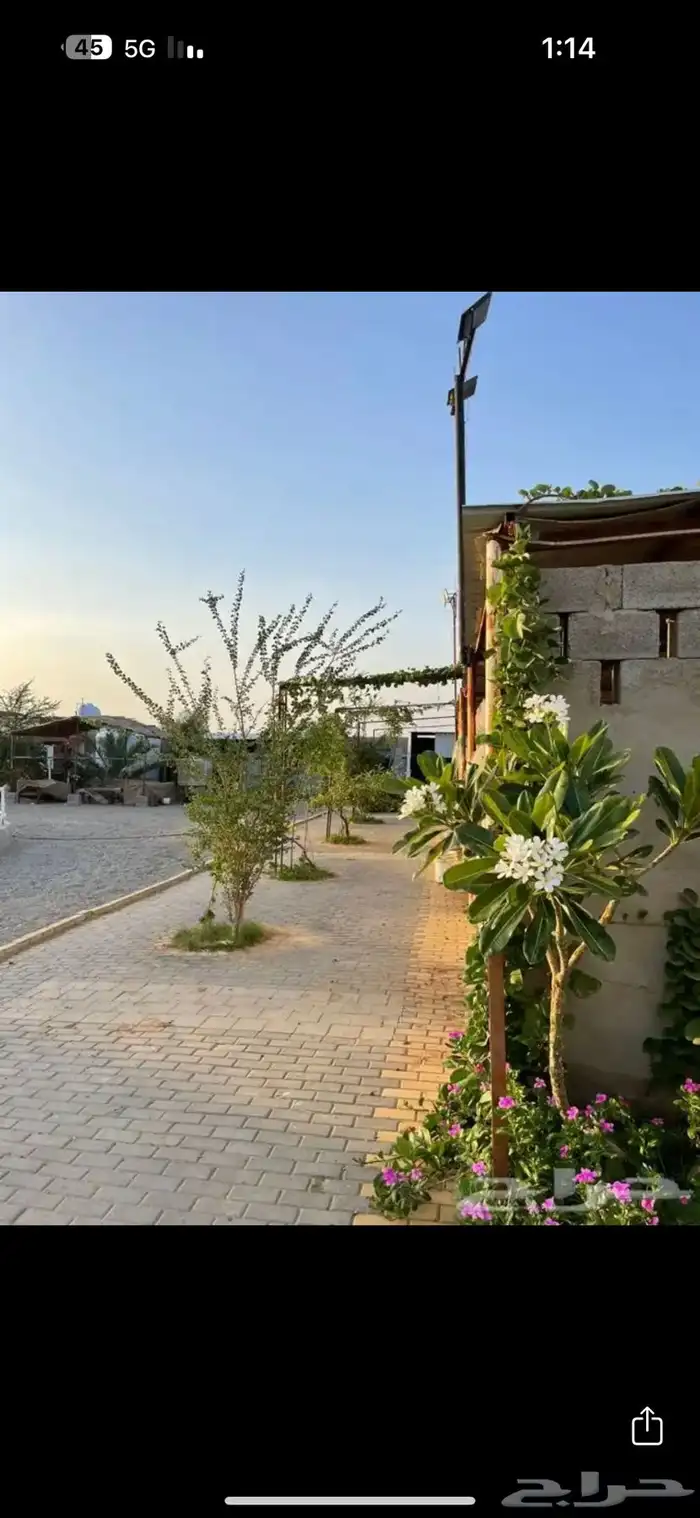 مربط ايواء وعسف الخيل 2