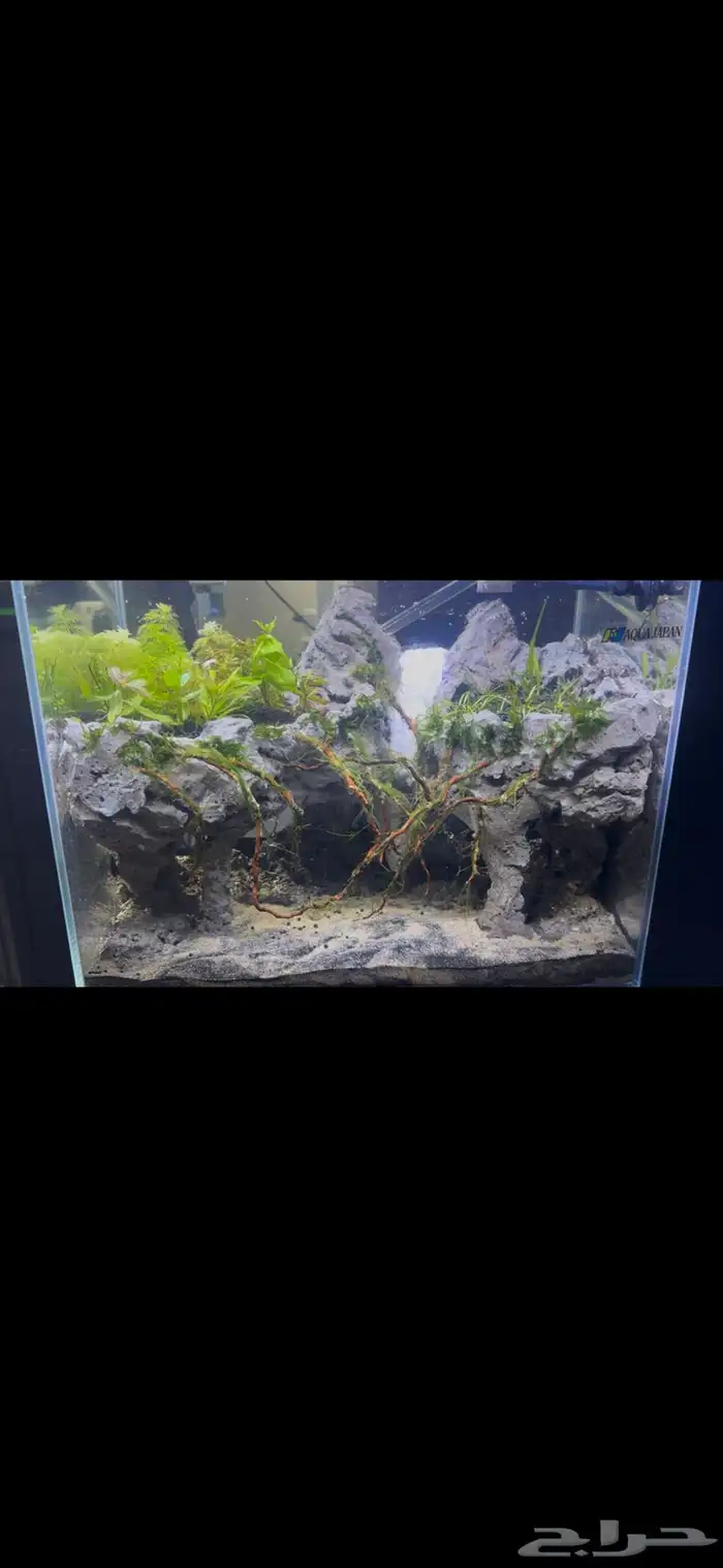 حوض أكواريوم بنظام الكهف   تصميم مميز وفريد 6