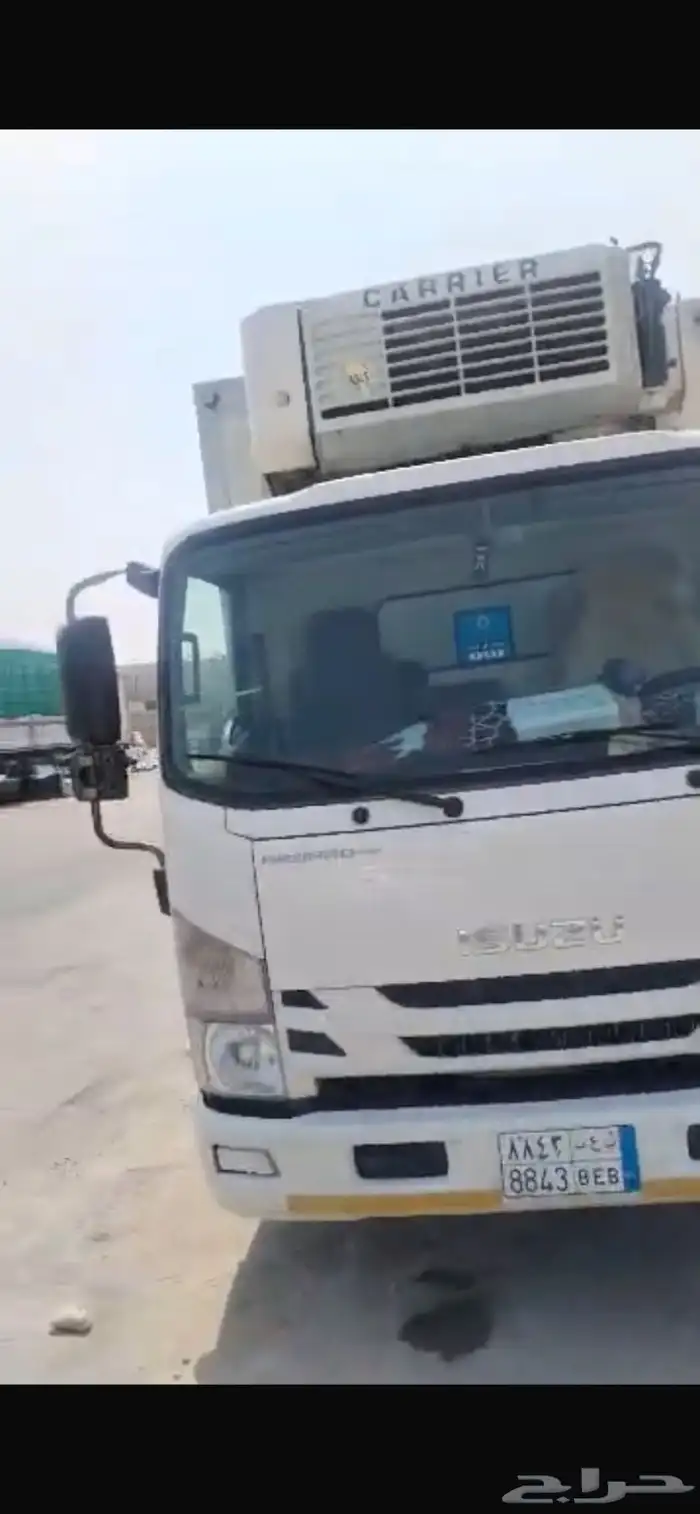 دينا موديل 2023 0