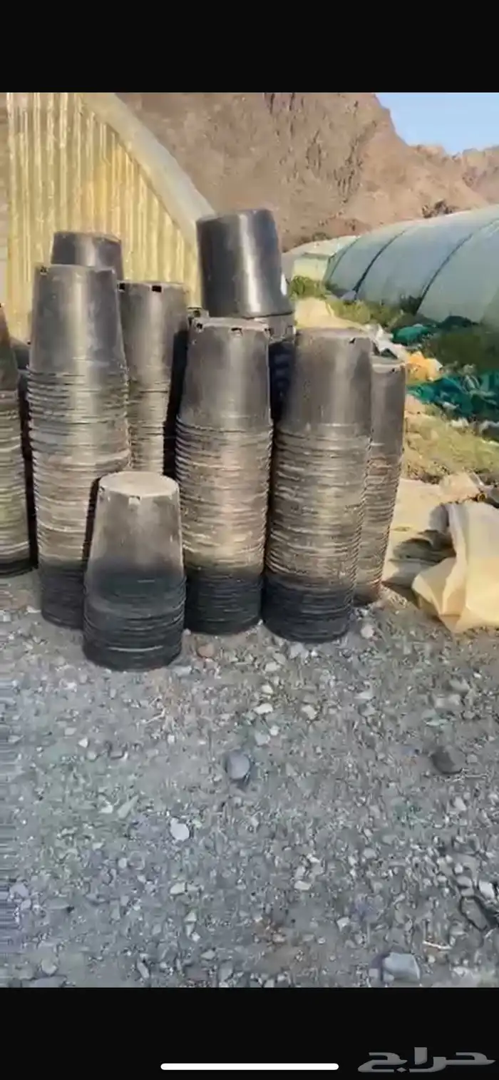 سطول مراكن للبيع 0