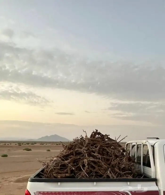 هايلوكس 2025 1
