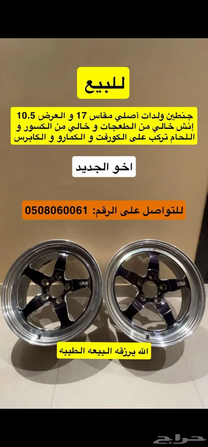 جنوط ويلد اصلييي امريكي 0