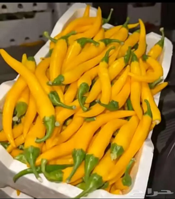 صالة خضار مطلوب شريك مالي 0