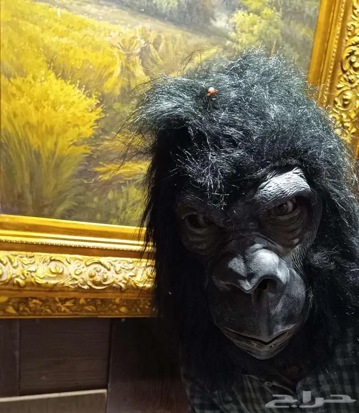 هالوين موسم الرياض غير  أقنعة تخطف الأنظار وتكمل طلتك 6