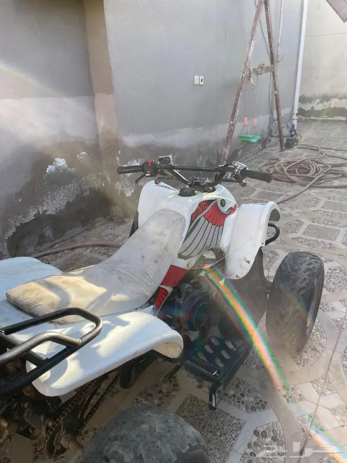 دباب 2