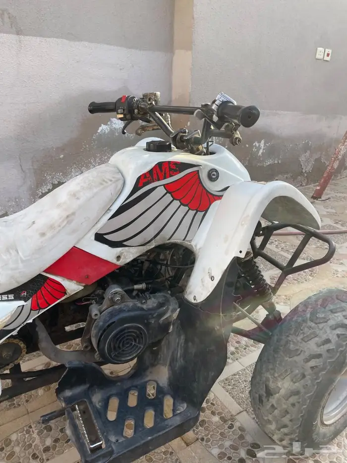 دباب 1