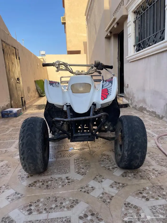 دباب 3
