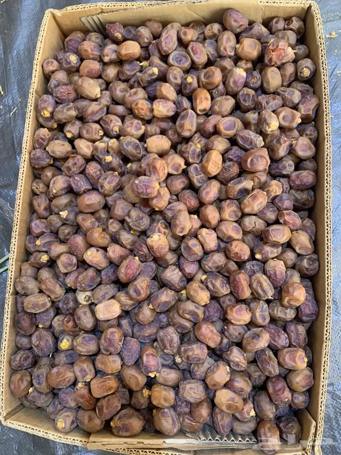 للبيع تمر نظيف للبسكوتات وغيرها 0